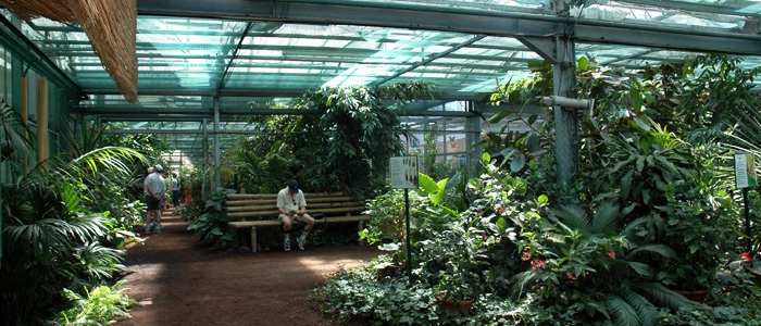 Nature en Alsace Jardin des papillons