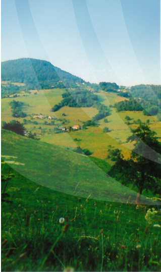 kalblin